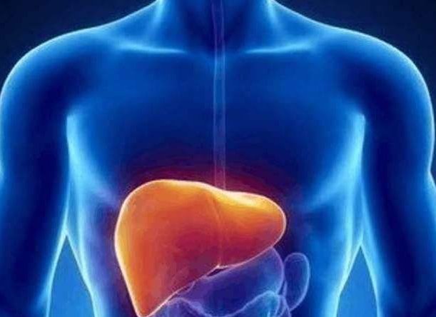 肝脏所在的位置在哪