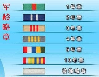 如何识别军官（文职干部）级别资历章