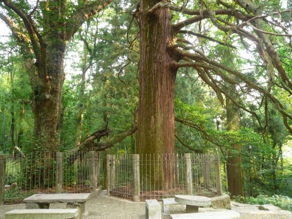 庐山几个必去景点一天游,推荐一下呗。