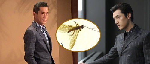 新物种以胡歌命名,这么做的原因是什么?