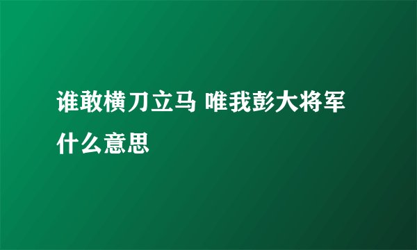 谁敢横刀立马 唯我彭大将军什么意思