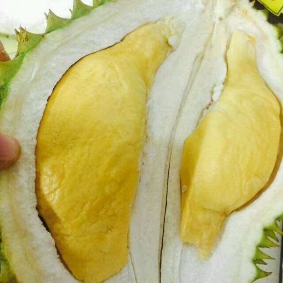 榴莲猫山王，干尧，金枕，长柄有什么区别，要专业的，不要复制