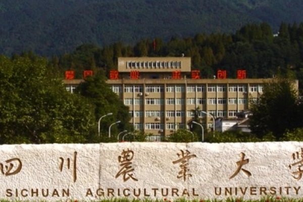 四川最好的大学是哪一个