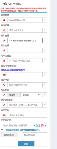 重庆市国税局电子税务局怎样注册？