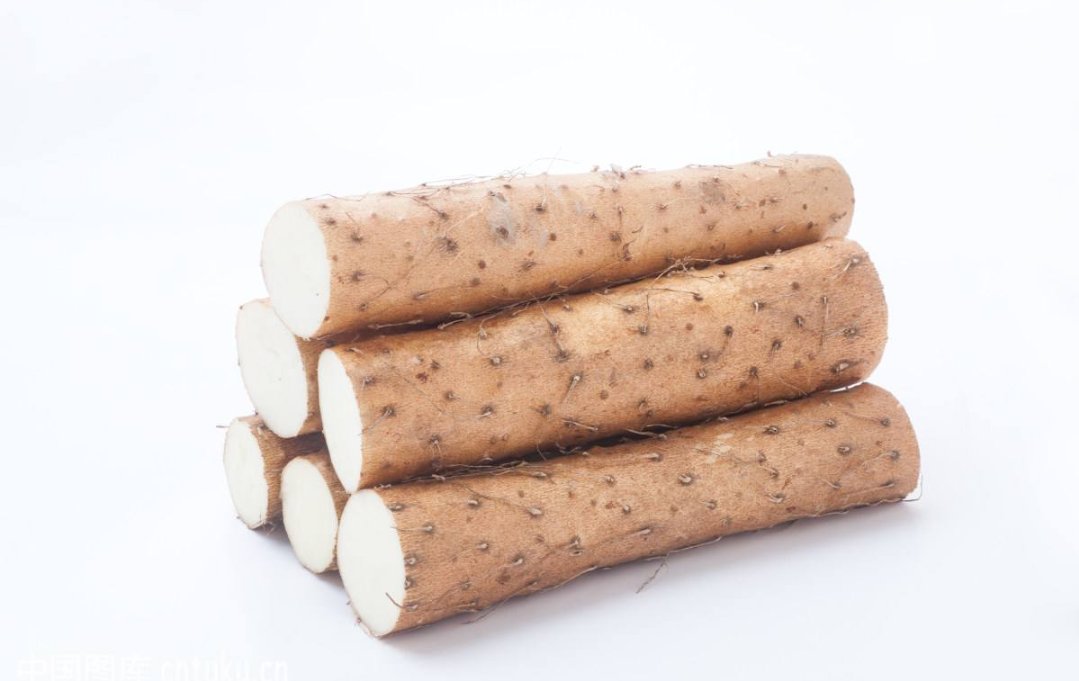 山药的种植方法