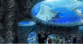 香港最主要好玩的地方有哪些?