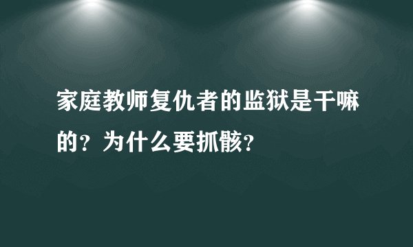 家庭教师复仇者的监狱是干嘛的？为什么要抓骸？