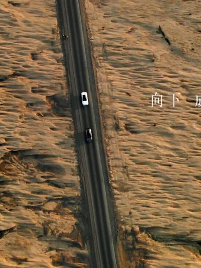 张嘉译和闫妮主演的电视剧有哪些？