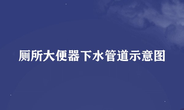 厕所大便器下水管道示意图