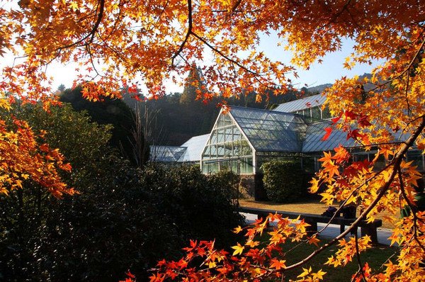 庐山几个必去景点一天游,推荐一下呗。