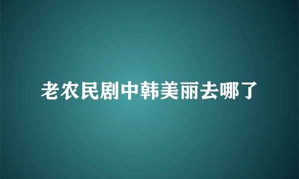 老农民剧中韩美丽去哪了