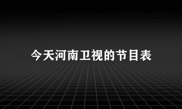 今天河南卫视的节目表