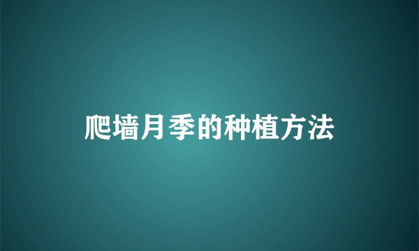 爬墙月季的种植方法