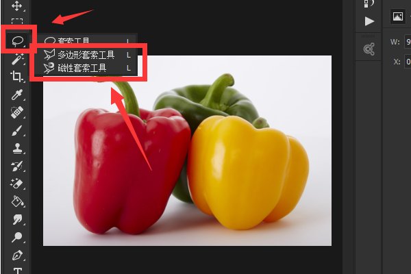 ps套索工具使用过程中，如不小心圈错了，怎样后退这一步，是否有快捷键啊？