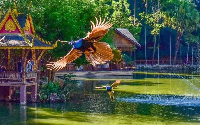 西双版纳景点排名是如何的?