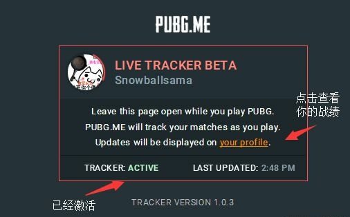 绝地求生大逃杀怎么看自己kda