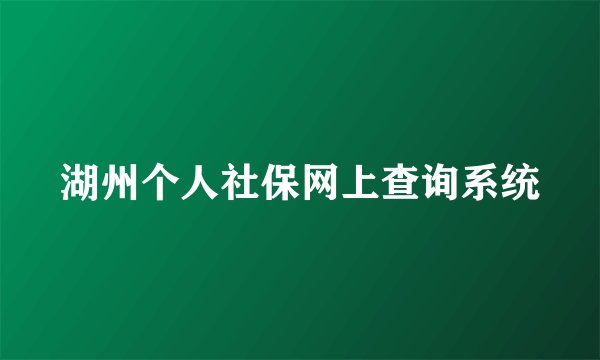 湖州个人社保网上查询系统