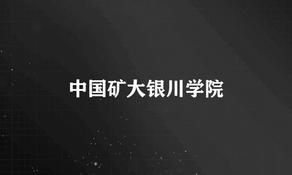 中国矿大银川学院