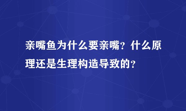 亲嘴鱼为什么要亲嘴？什么原理还是生理构造导致的？