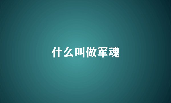 什么叫做军魂