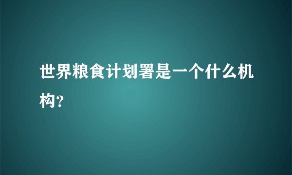 世界粮食计划署是一个什么机构？