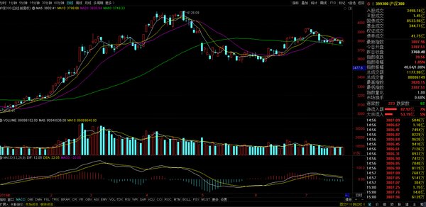 沪深300标的股名单，求详细！