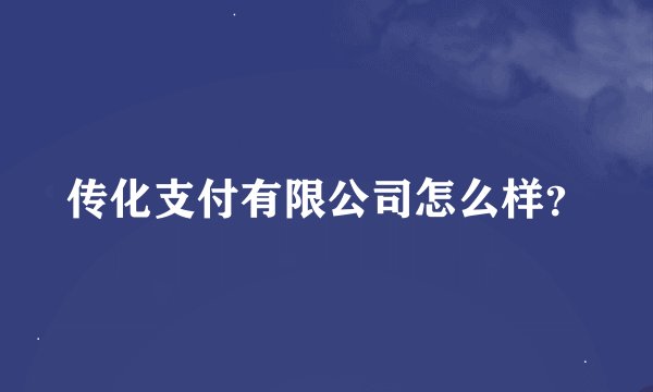 传化支付有限公司怎么样？