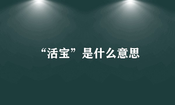 “活宝”是什么意思
