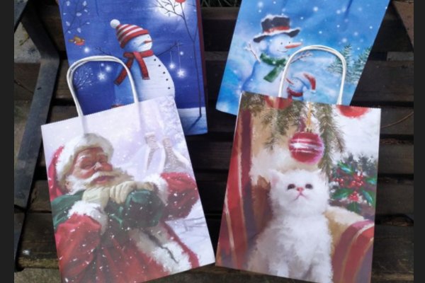 野外生存必备工具?