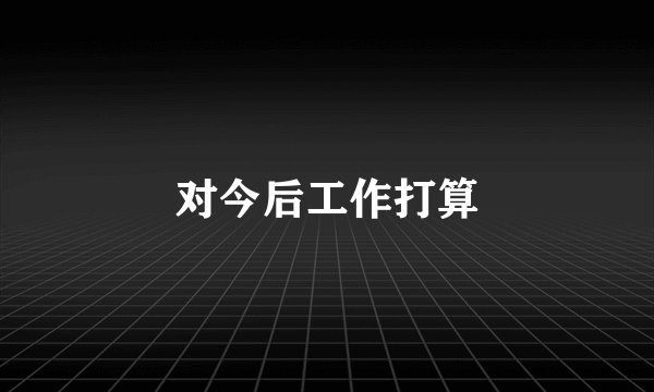 对今后工作打算