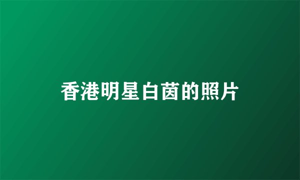 香港明星白茵的照片