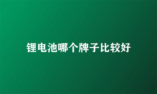 锂电池哪个牌子比较好