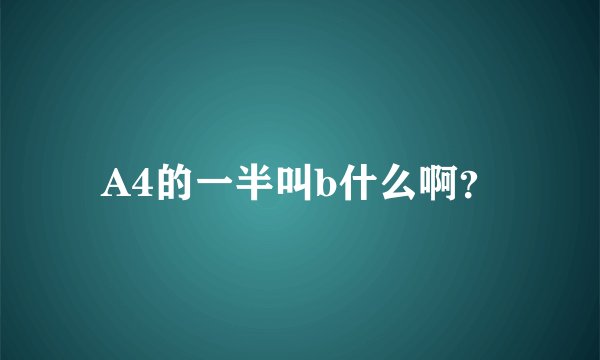 A4的一半叫b什么啊？
