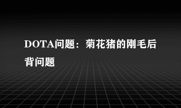 DOTA问题：菊花猪的刚毛后背问题