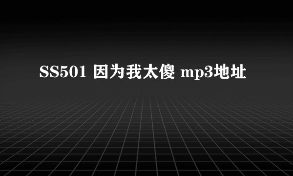 SS501 因为我太傻 mp3地址