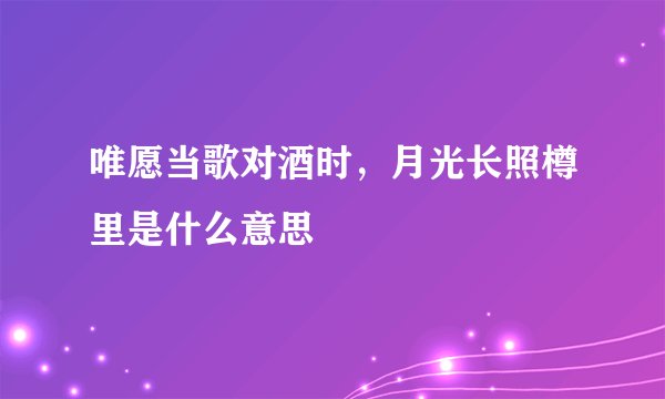 唯愿当歌对酒时，月光长照樽里是什么意思
