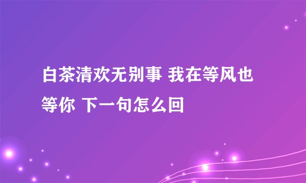 白茶清欢无别事 我在等风也等你 下一句怎么回