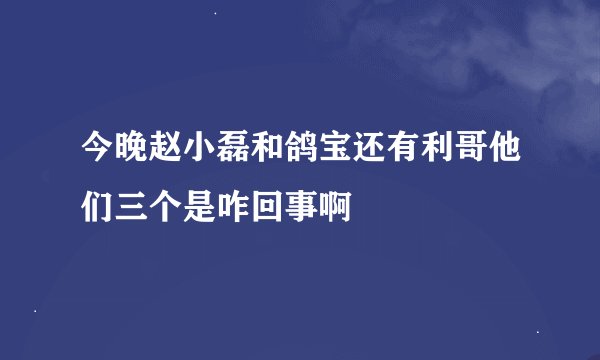 今晚赵小磊和鸽宝还有利哥他们三个是咋回事啊