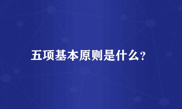五项基本原则是什么？