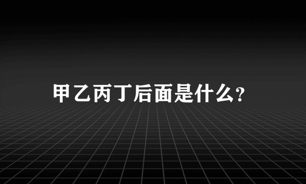 甲乙丙丁后面是什么?