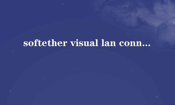 softether visual lan connection