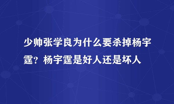 少帅张学良为什么要杀掉杨宇霆？杨宇霆是好人还是坏人