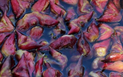 扬州特产有哪些?