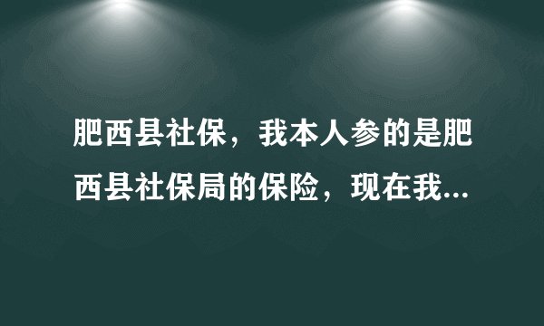 肥西县社保，我本人参的是肥西县社保局的保险，现在我想在网上查询一下我的个人信息，请问：如何查询？