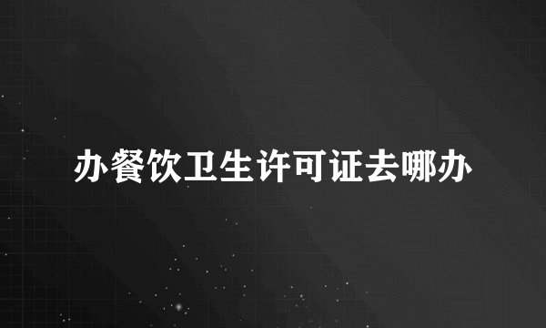 办餐饮卫生许可证去哪办