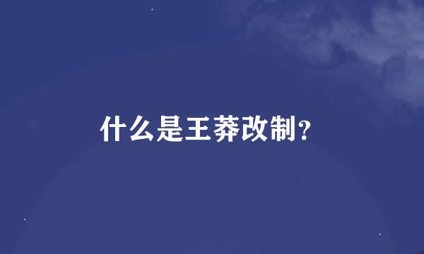 什么是王莽改制？