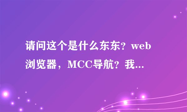 请问这个是什么东东？web 浏览器，MCC导航？我没用过啊，他怎么自己出来的？是木马吗