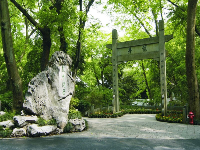 龙井问茶的基本介绍