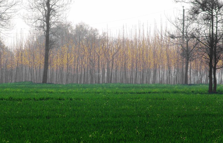 郑州有什么好玩的地方？哪些景点必去？