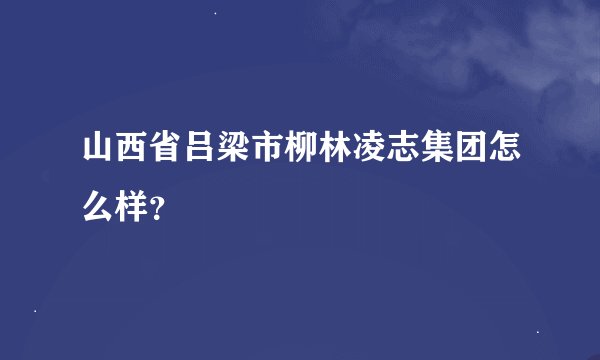 山西省吕梁市柳林凌志集团怎么样？